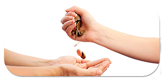 Make a Donation